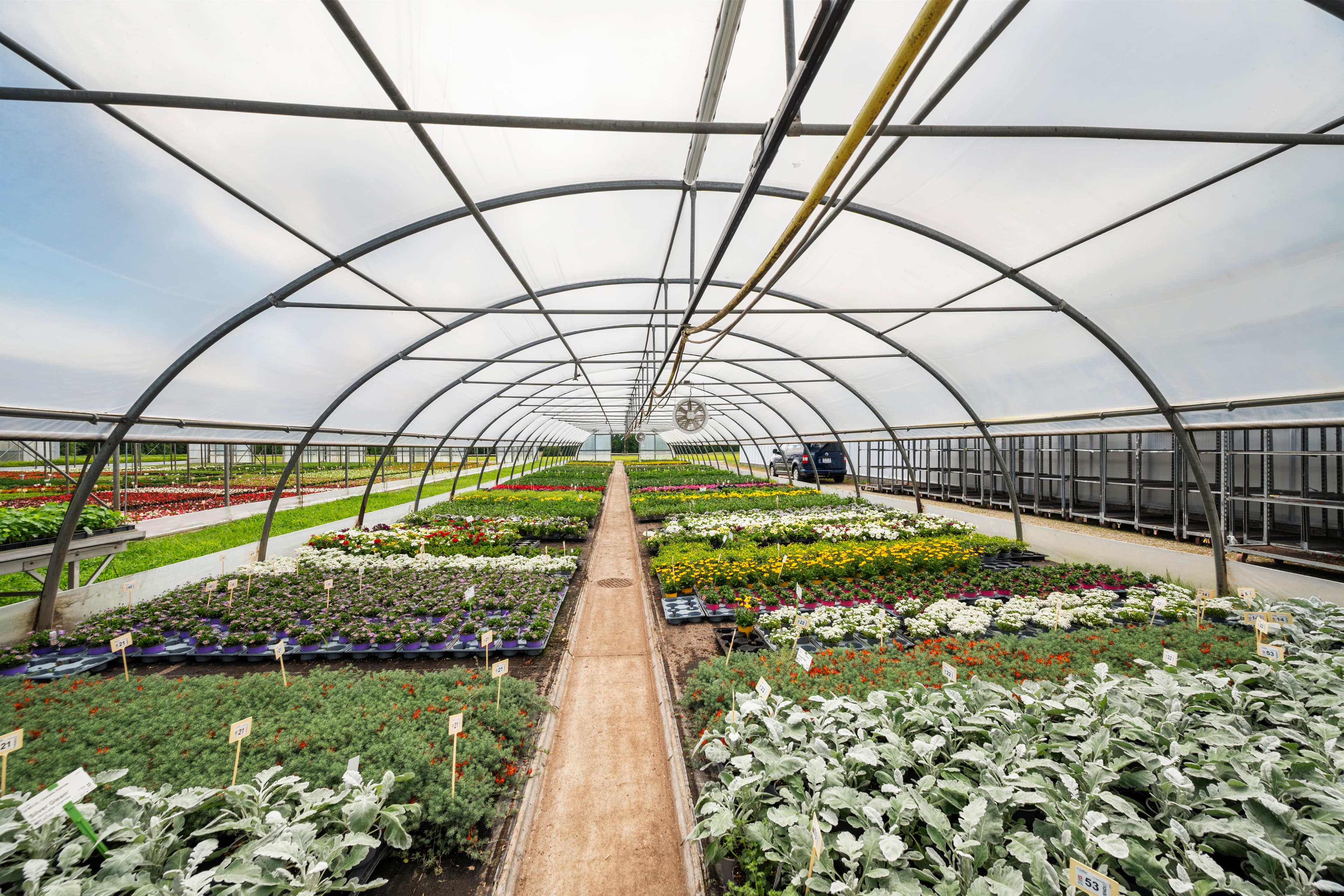 Etabliertes Gartenbauunternehmen in Nyon zu verkaufen - 2