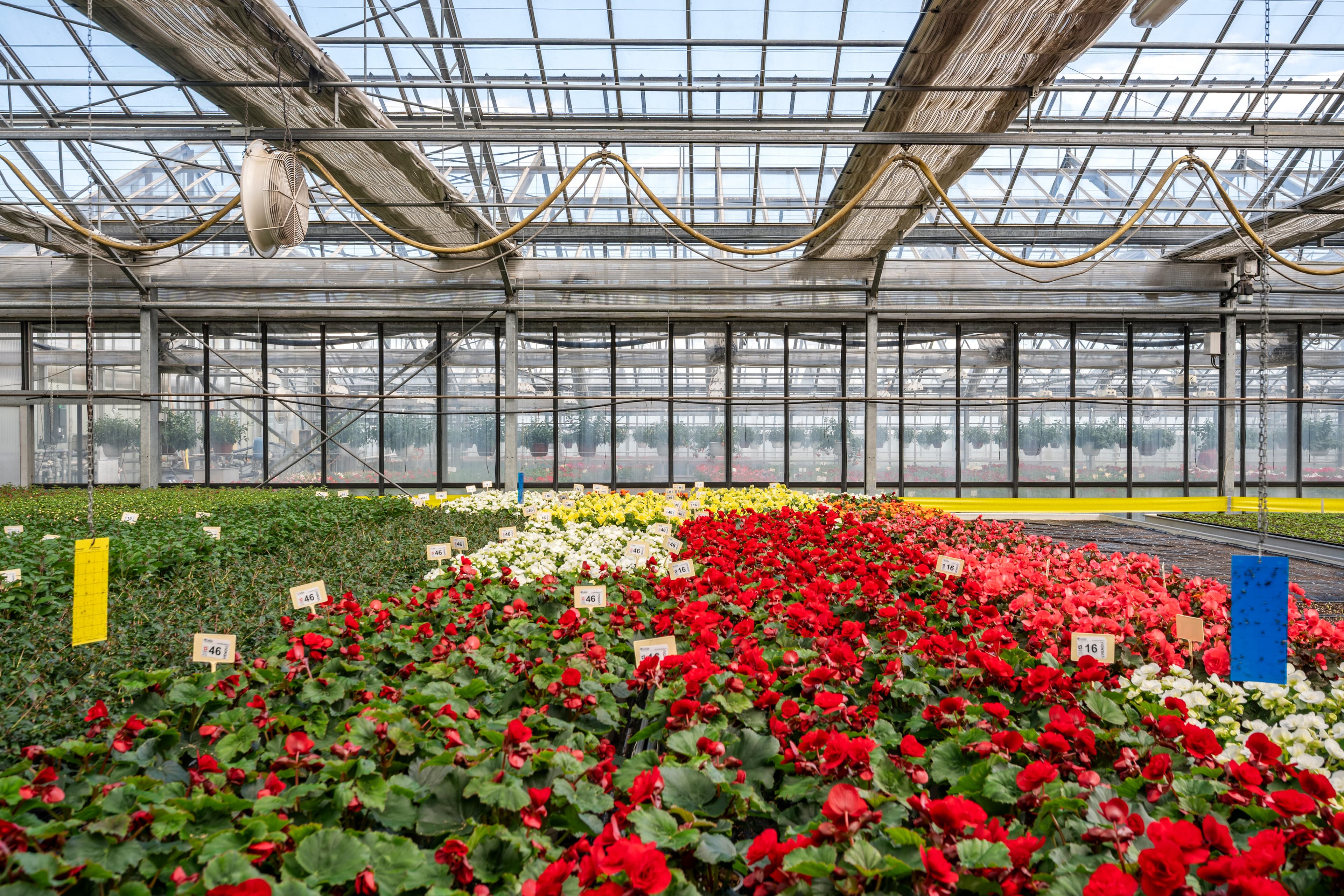 Etabliertes Gartenbauunternehmen in Nyon zu verkaufen - 3
