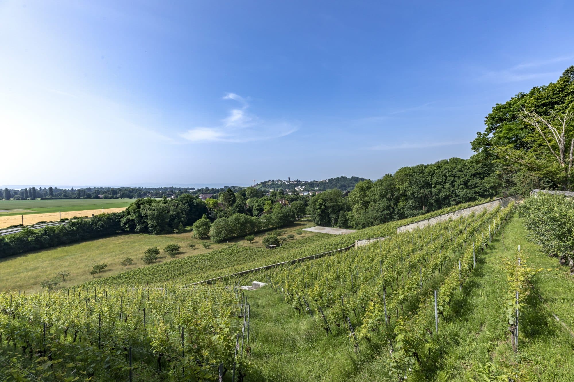 Domaine d'exception à vendre région Neuchâtel