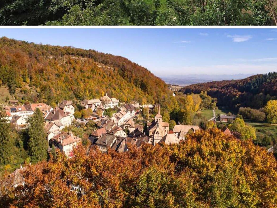 Domaine événementiel et gastronomique à vendre, VD - 4